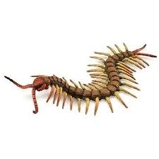 Realistic Centipede Animal Figure