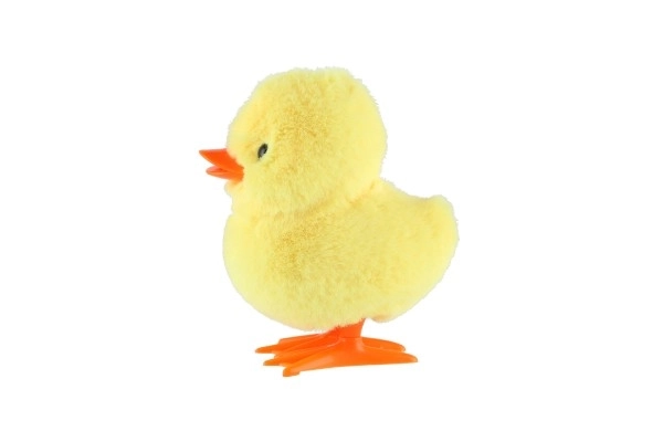 Wind-Up Duck Toy Set