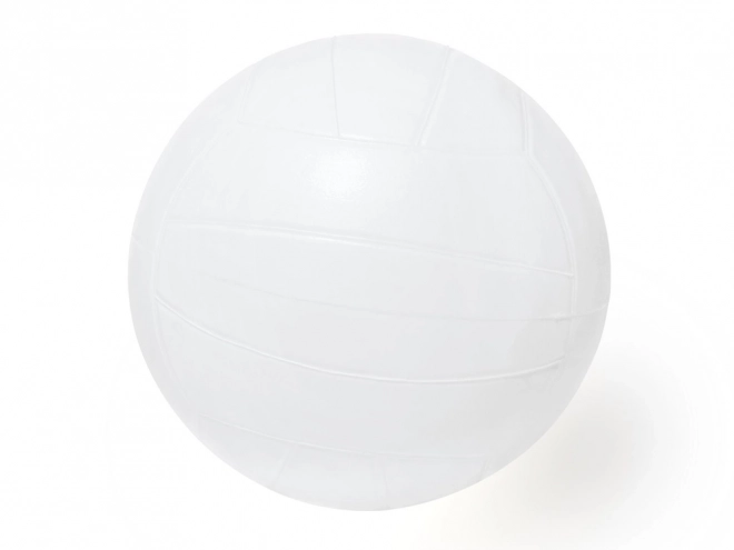 Inflatable Water Polo Goal with Ball