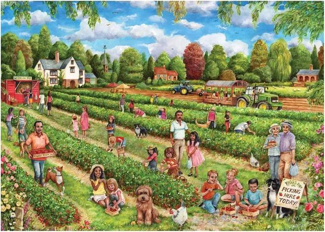 Falcon Puzzle Strawberry Picking 1000 Pieces