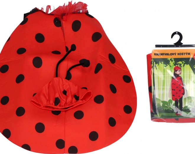 Costume Coccinella per Carnevale