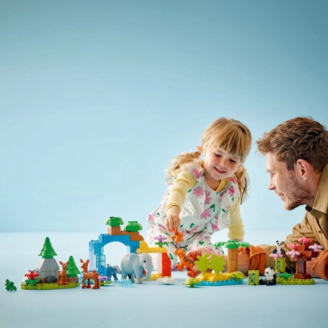 Wild Animal Families Duplo Set