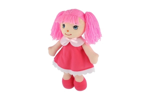 Rag Doll with Pink Hair