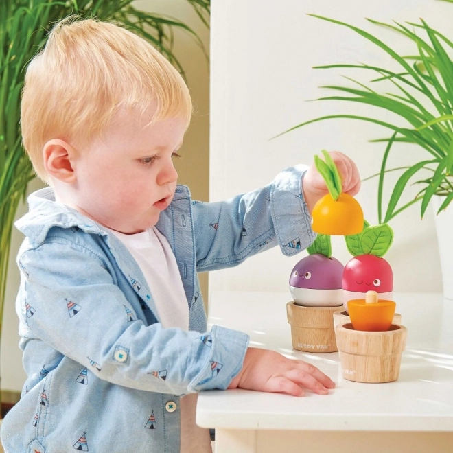 Le Toy Van vegetable garden set