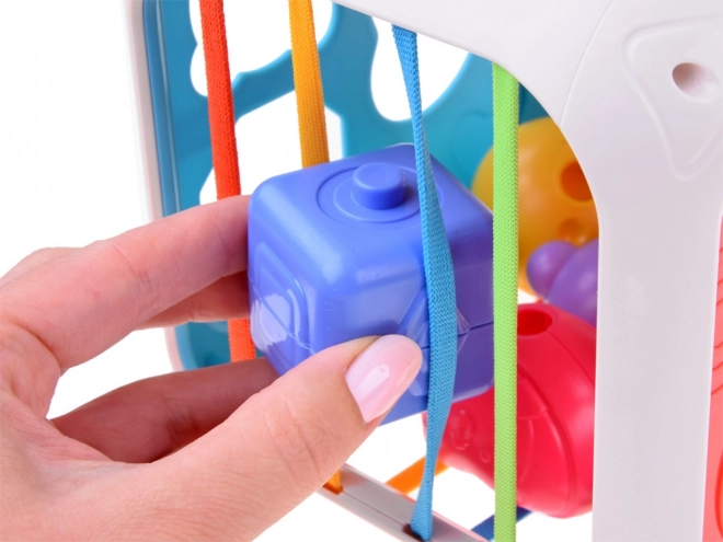 Interactive Shape Sorter and Xylophone Play Cube