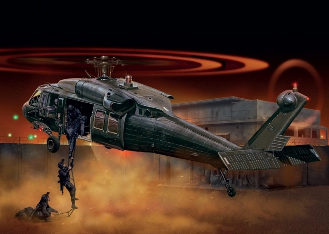 Black Hawk Night Raid Plastic Model