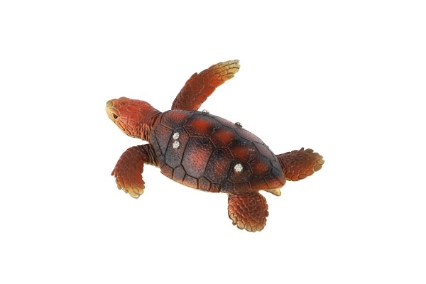 Loggerhead Turtle Toy