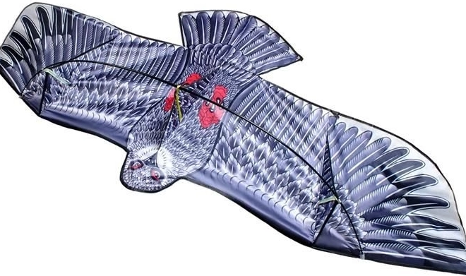 Ekologiczna ochrona upraw