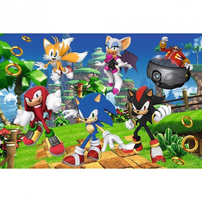 Sonic and Friends 160 Piece Puzzle