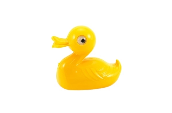 Duck Bath Toy