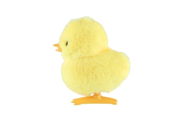 Wind-Up Chick Toy