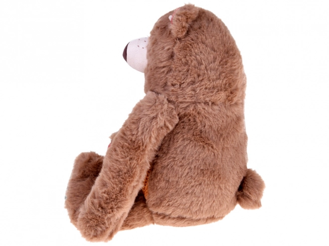 Cute Plush Teddy Bear Teodor 30 cm