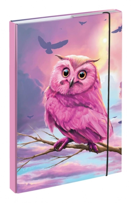 School Folder A4 Owl Design