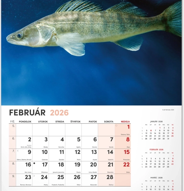 Wall Calendar Fishing 2026