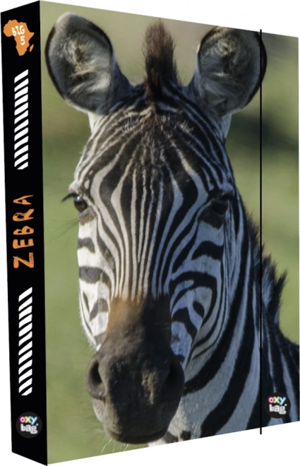 Zebra Jumbo A4 Notebook Box