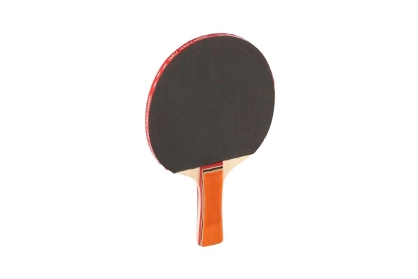 Table Tennis Paddle