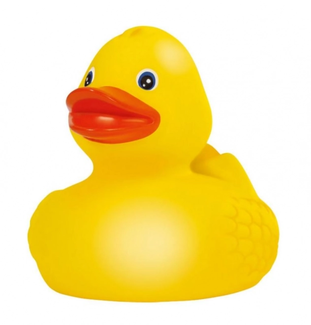 Bathtub Rubber Duck Display Pack