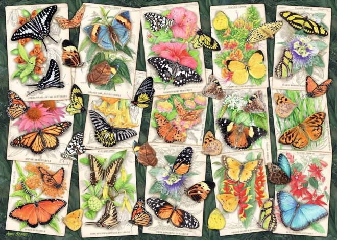 Tropical Butterflies Puzzle