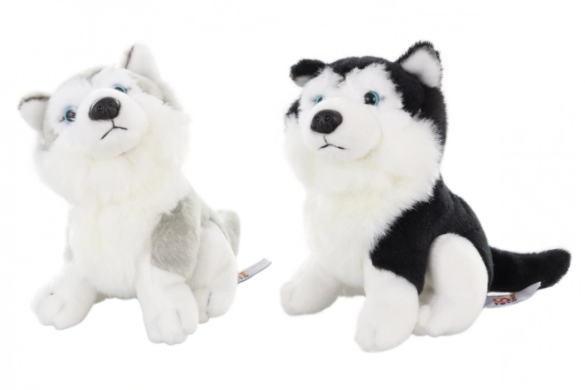 Plush Husky Toy