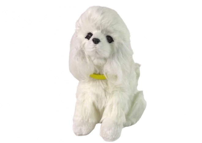 Interactive Plush Poodle Puppy