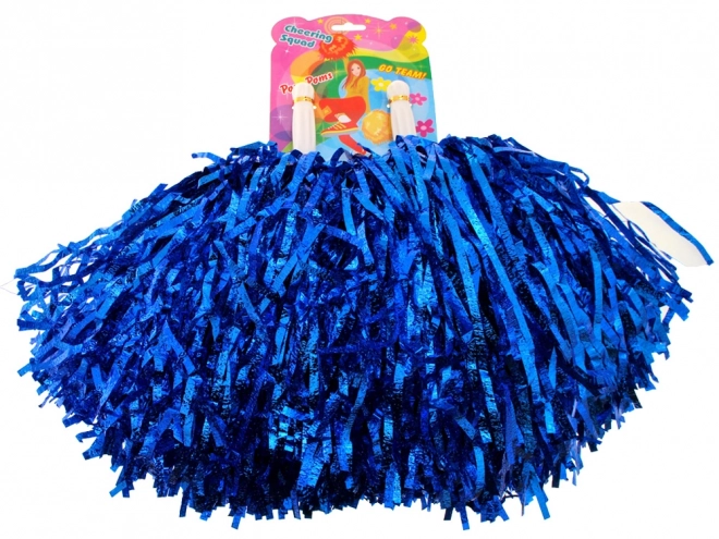 Colorful Cheerleader Pom Poms