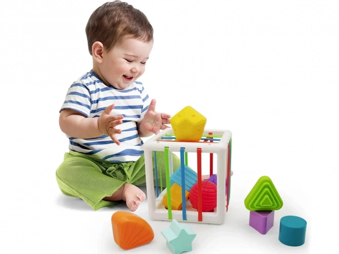 Shape Sorting Cube Toy for Toddlers