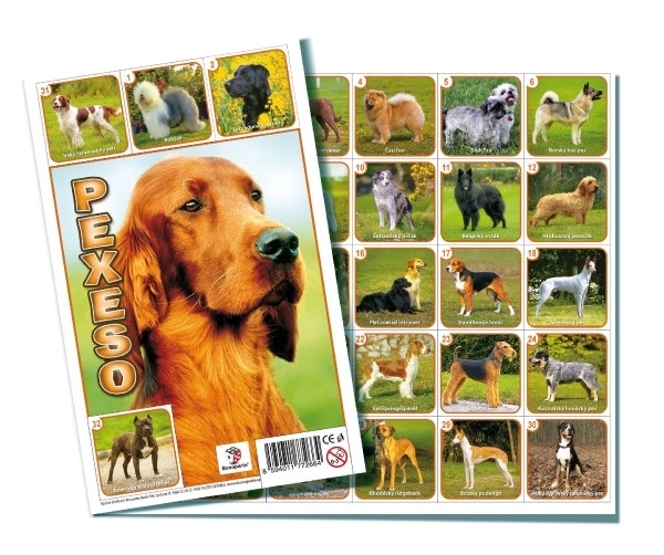 Memory Game with Dogs