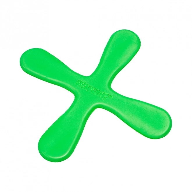 Boomerang Toy