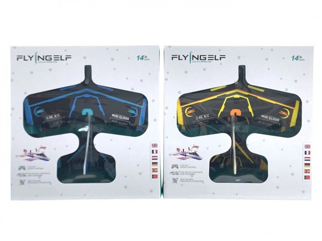 Remote Control Glider Plane