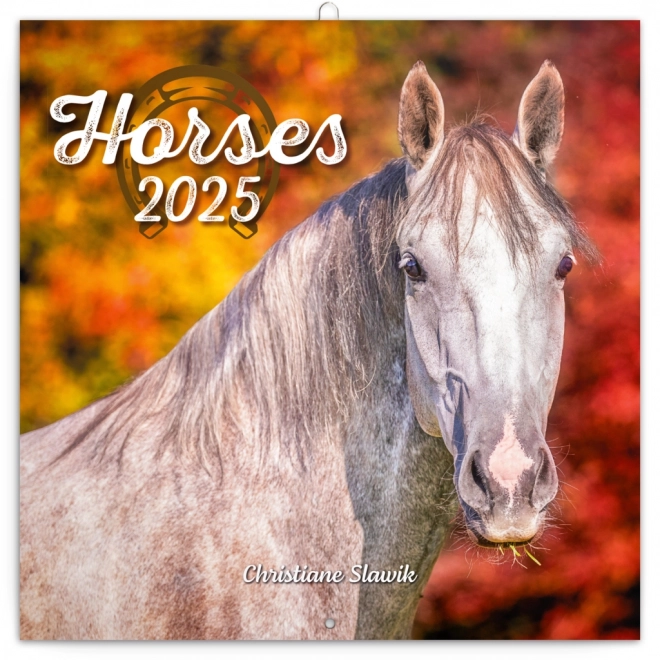 Notique Horse Calendar by Christiane Slawik 2025