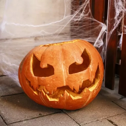 Artificial Halloween Spider Web with Spiders