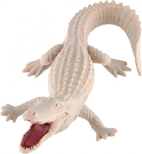 Izobraževalna vrednost o redkem obarvanju