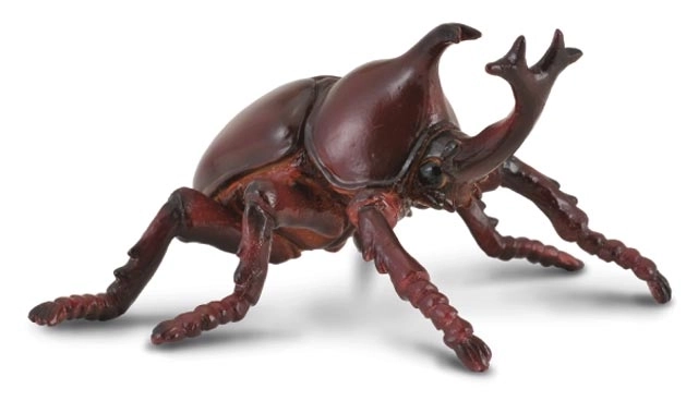 CollectA Hooded Rhino Figurine