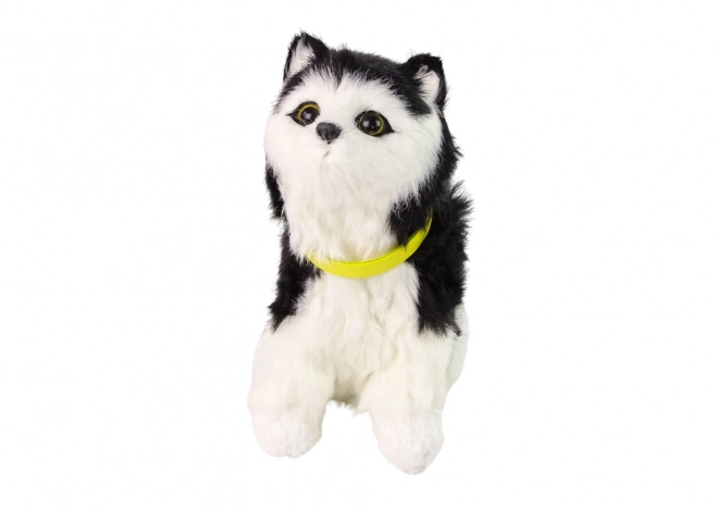 Interactive Plush Cat with Moving Features