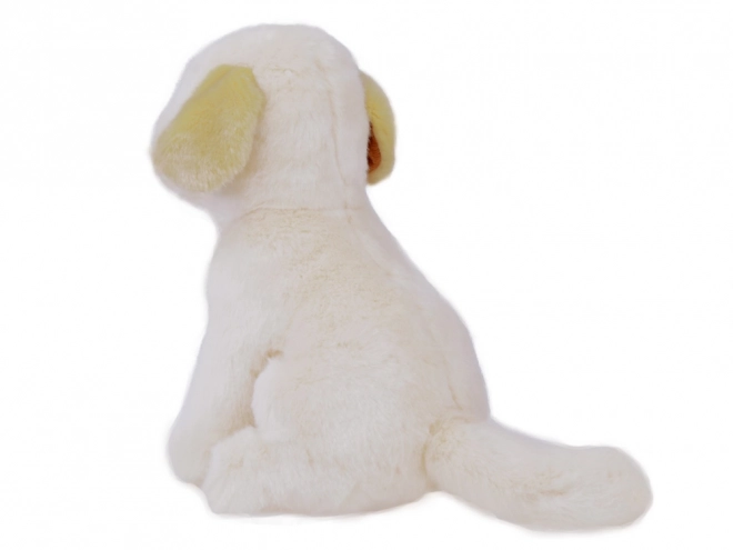 Plush Labrador Dog Soft Toy