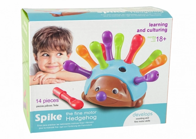 Hedgehog Puzzle Toy with Colorful Spikes