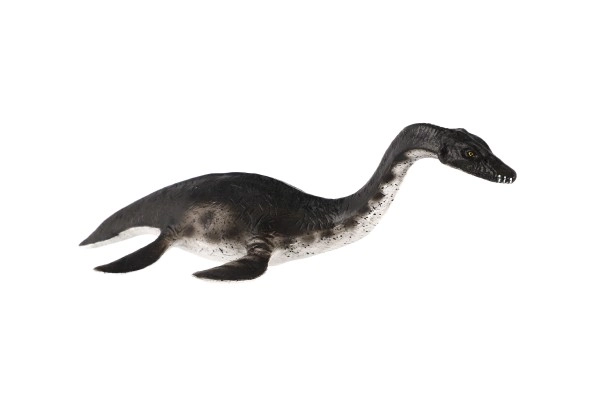 Plesiosaur Toy Figurine 23cm