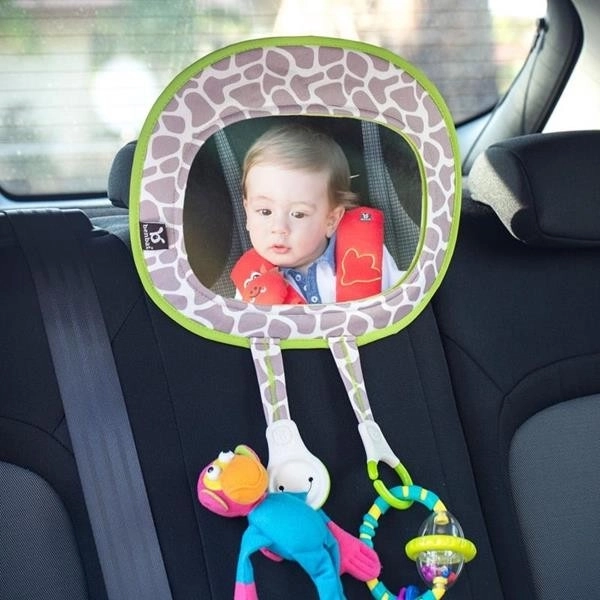 Car Mirror with Organizer