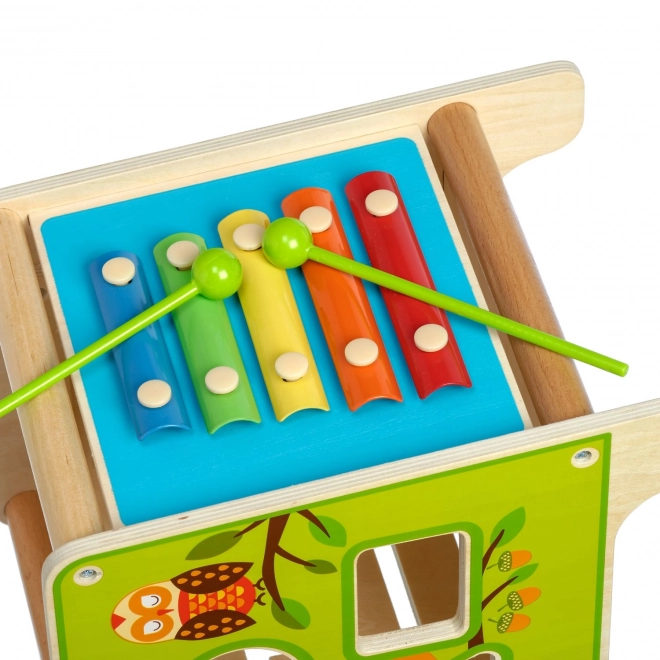 Lucy's Wooden Activity Cube with Xylophone