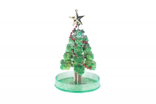 Magic Christmas Tree Kit