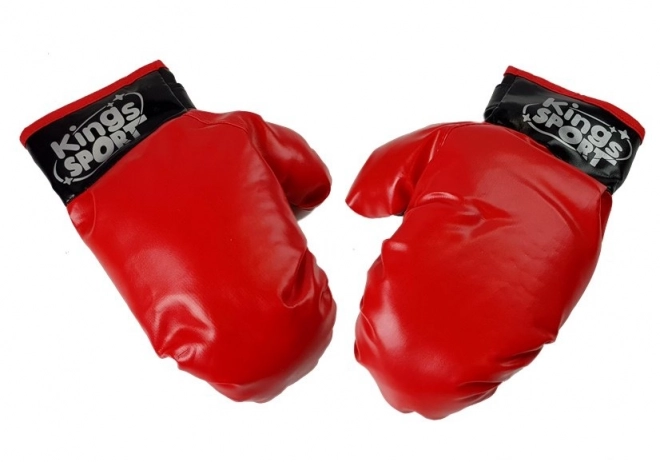 Children's Boxing Set with Gloves and Champion Belt