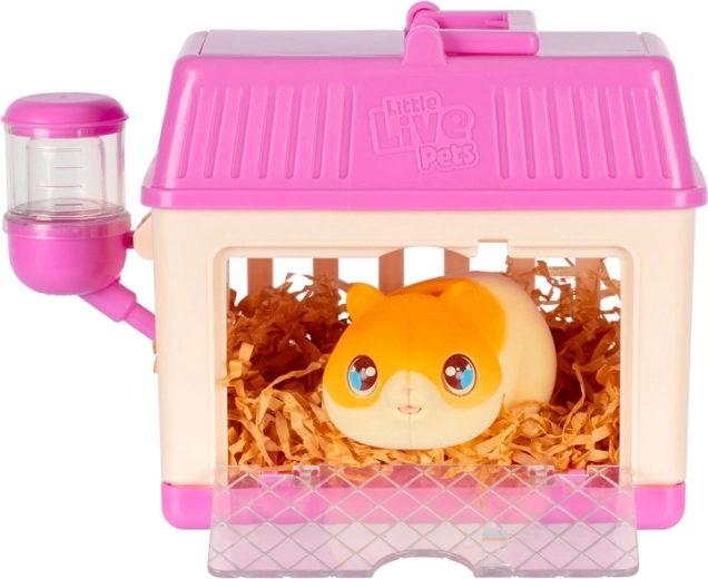 Builds empathy and responsibility