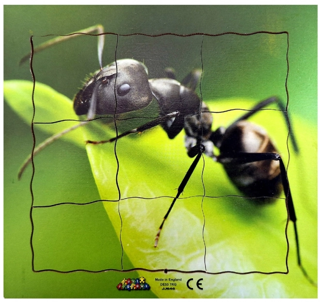 Just Jigsaws Ant and Its Lifecycle Wooden Layered Puzzle