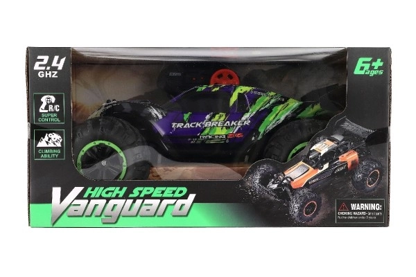 Remote Control Racing Buggy Car 40cm with Rechargeable Pack