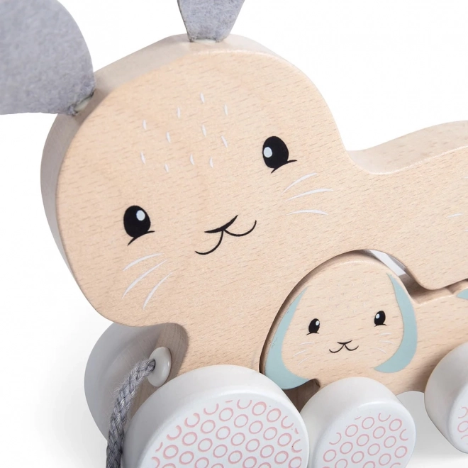 Pull Along Bunny with Baby by Bigjigs Toys