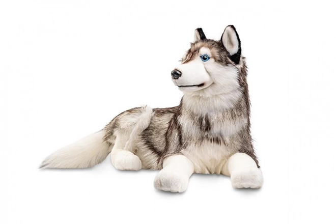 Large Plush Husky 100 cm