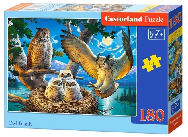 Colorful Owl Family Puzzle