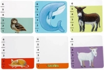 DJECO Kaartspel Wie is wie