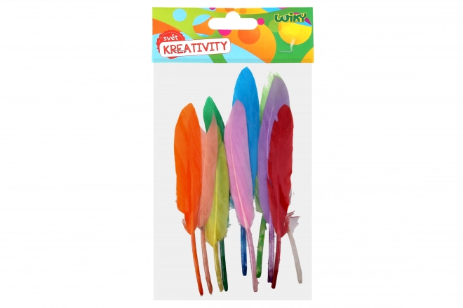 Creative Feather Decoration Set