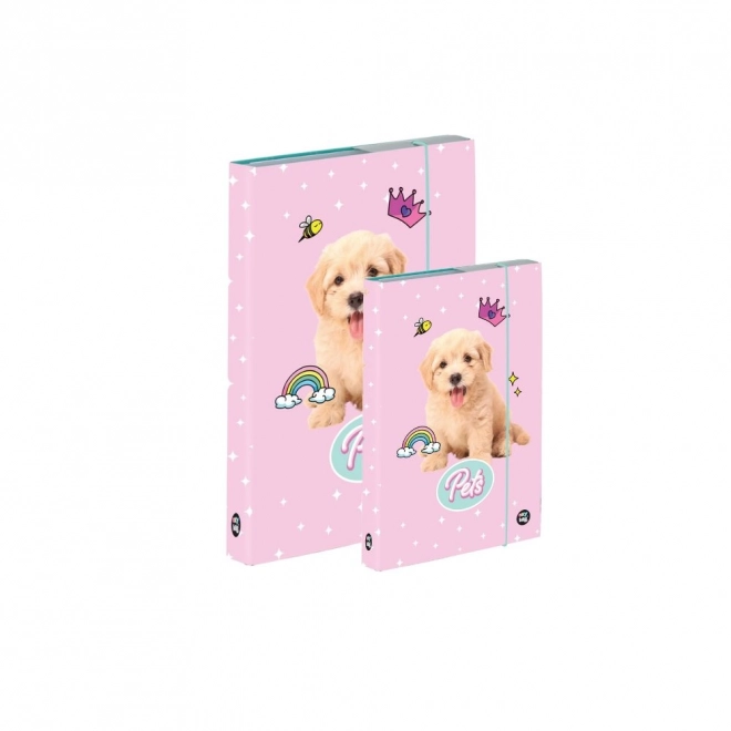 Pets Themed A4 and A5 Notebook Storage Box Set